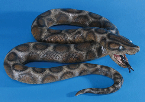 python.gif